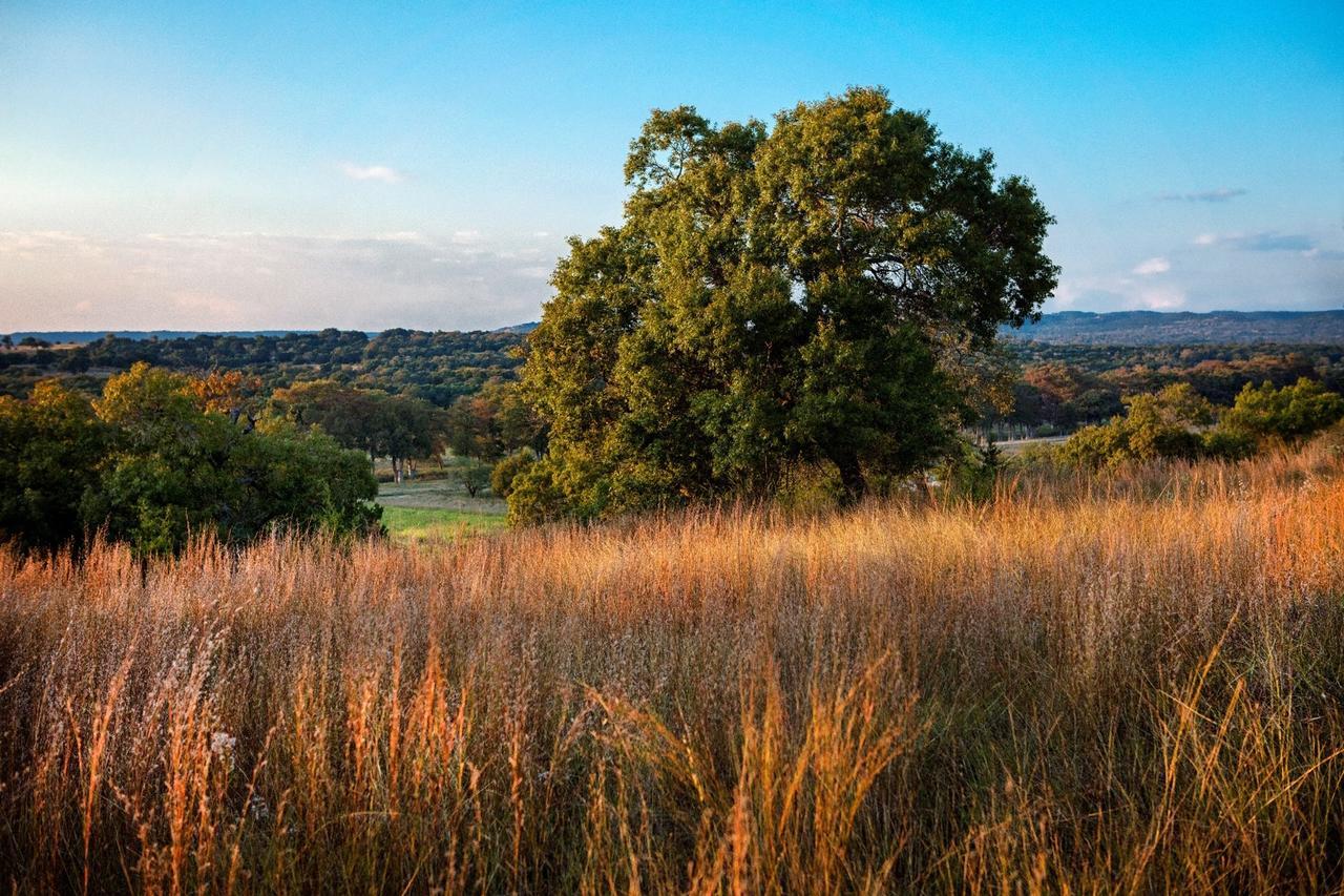 Joshua Creek Ranch Ξενοδοχείο Boerne Εξωτερικό φωτογραφία