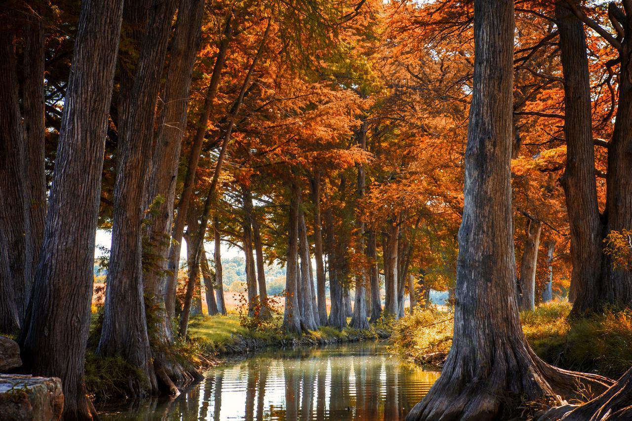 Joshua Creek Ranch Ξενοδοχείο Boerne Εξωτερικό φωτογραφία