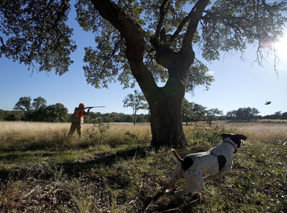 Joshua Creek Ranch Ξενοδοχείο Boerne Εξωτερικό φωτογραφία